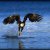 Unalaska 2003. Le film